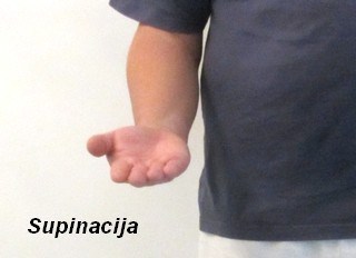 Supinacija
